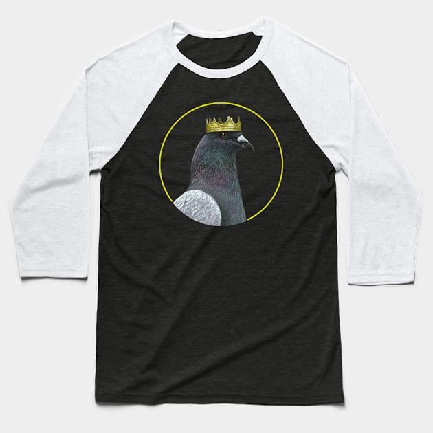 Rock dove Baseball T-Shirt by Mikhail Vedernikov